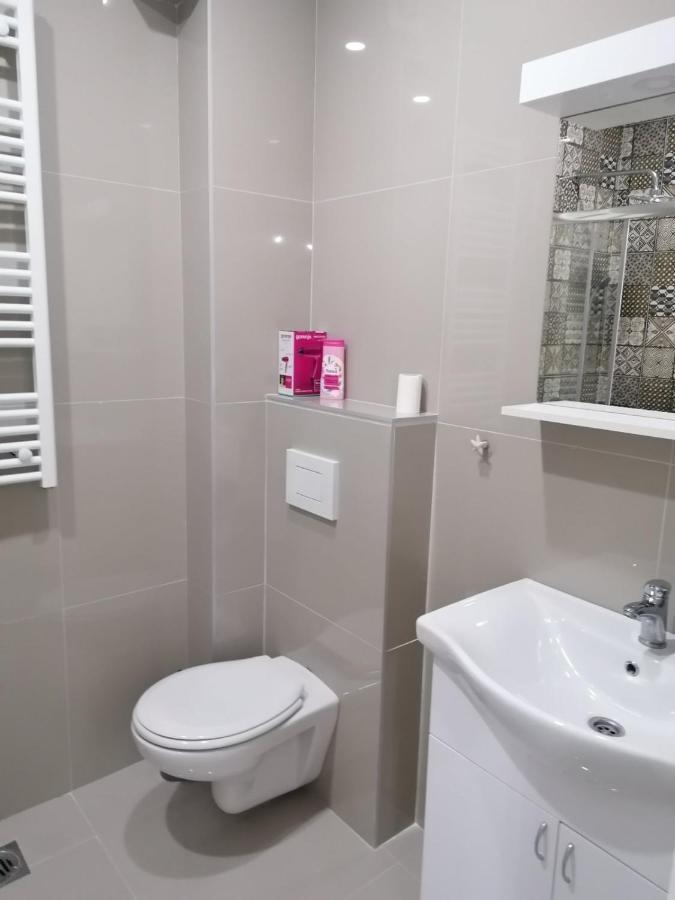 Apartman Mila, Banja Koviljaca Exterior photo